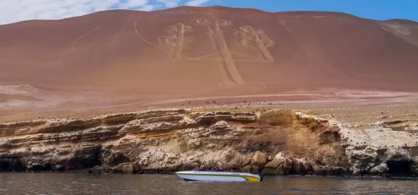 Paracas and Huacachina Full Day